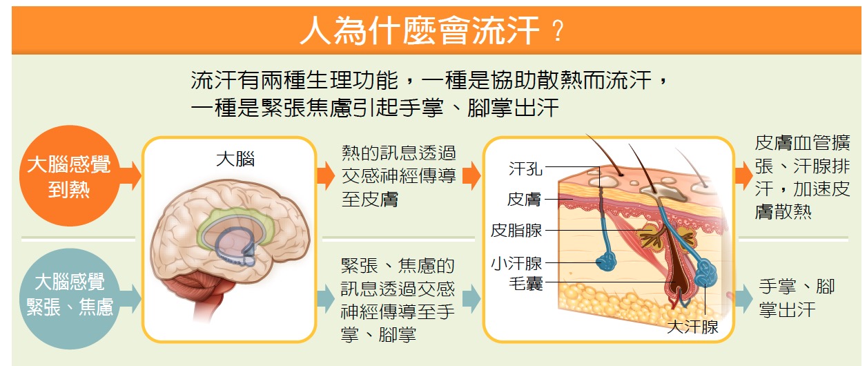 症 治療 汗 多